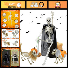 36" Halloween Skeleton Decoration - Posable 3FT Skeleton with Dog  Cat - Creepy