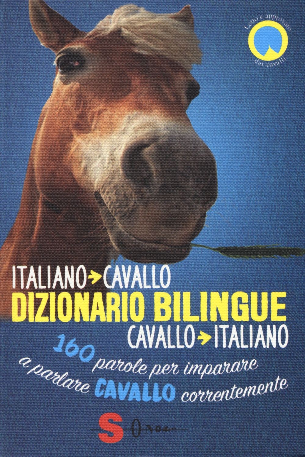 Libri De Giorgio Francesco / Valentina Mauriello / Ester Corvi - Dizionario Bili