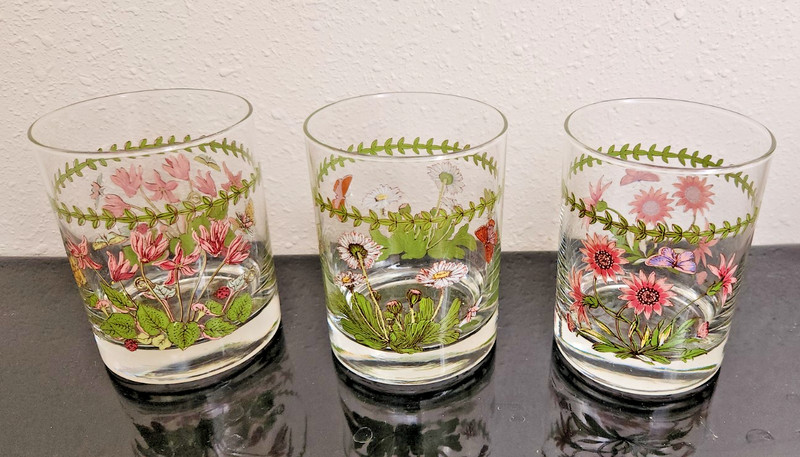 3 Portmeirion Vintage Botanic Garden Double Old Fashion Drink Glasses 3 Designs