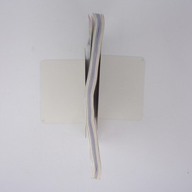 Resident Evil Ave Rouge Saturn magazine, Bend Dengeki EX 199, separate KKF