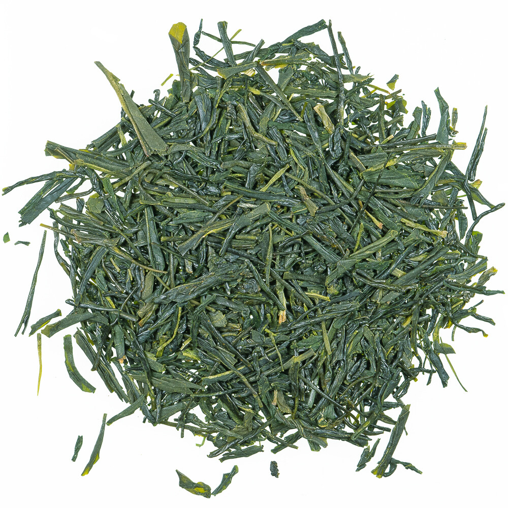 500g (108,30€/1kg) Japan Sencha Miyazaki | Grüner Tee - Grüntee Japan