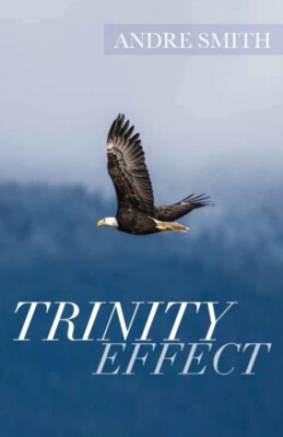 Smith - Trinity Effect - New paperback or softback - X555z