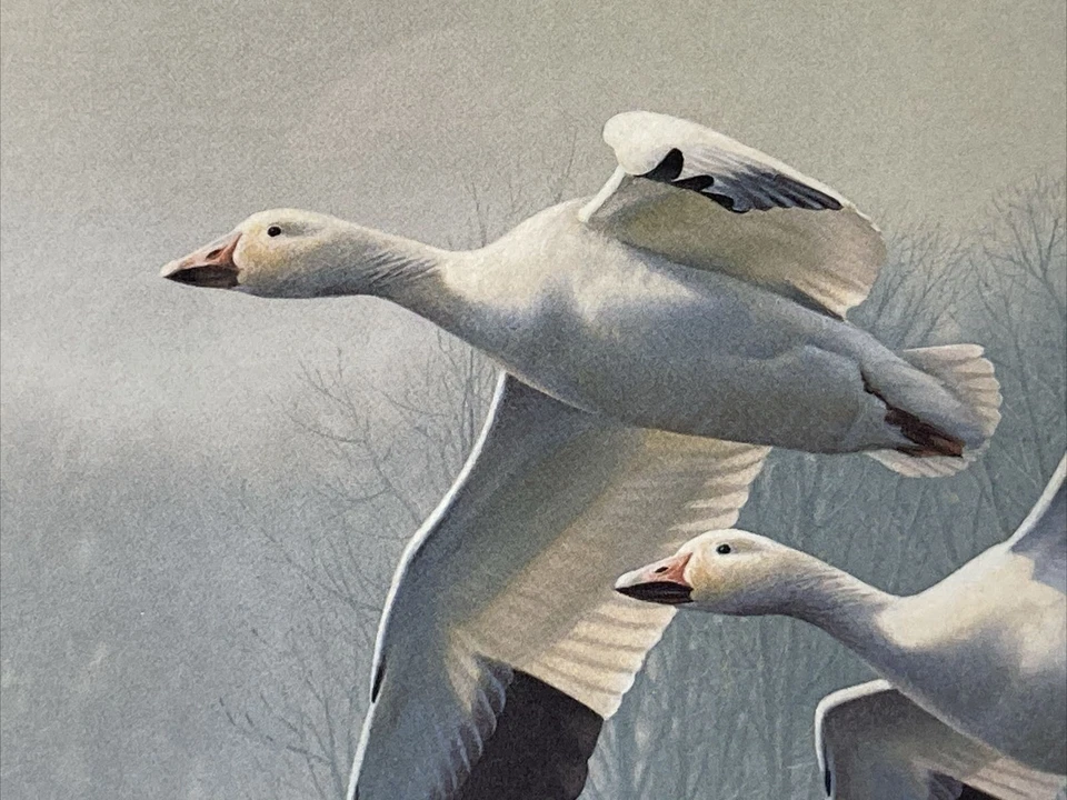 1989 NEW JERSEY State Duck Waterfowl Stamp Print DANIEL SMITH Signed 6171 FRAMED - Image 3 of 4