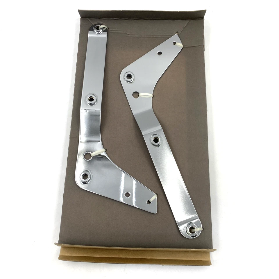 OEM Honda 08F75-MEG-100 barra Sissy respaldo pasajero placas laterales 04-18 sombra Foto 2 de 4