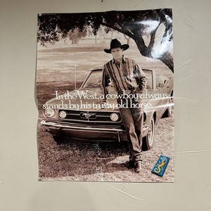 Wrangler Poster | eBay