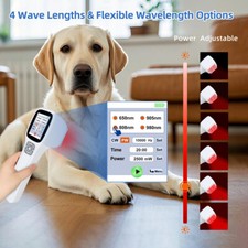2500mW Cold Laser Therapy for Inflammation Nerve Pain 650 808 905 980nm Equine