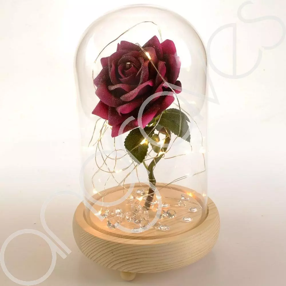 Beauty and the shop beast rose in glass