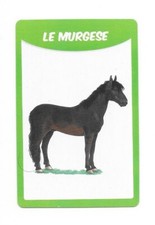 Carte 50 races de chevaux - Le murgese