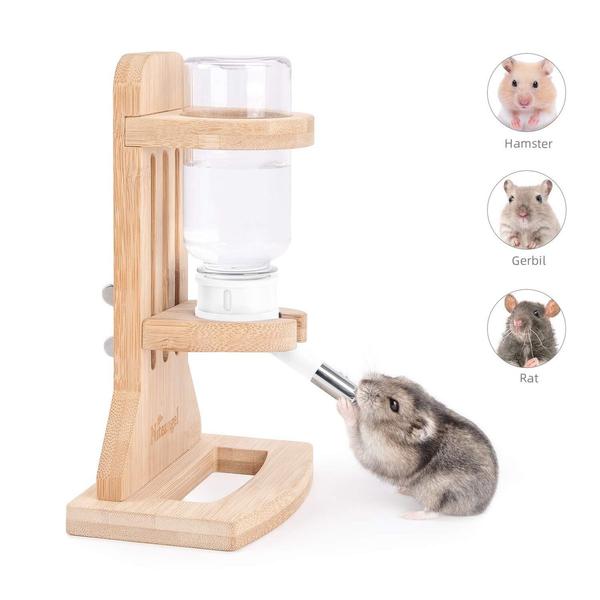 Water Bottle with Stand for Syrian Dwarf Hamsters Gerbils Mice Rats Degus  Sma... | eBay