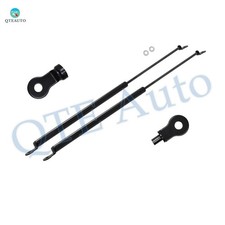 Pair Of 2 Rear Liftgate Lift Support For 1981 Honda Civic