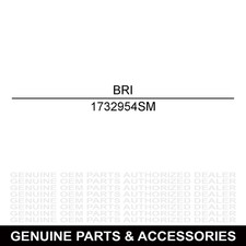 Briggs Stratton 1732954SM V-Belt HA 93.10 LG