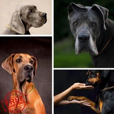 Gold Chain Dog Collar Metal Slip Link Heavy Duty XXS XS Small