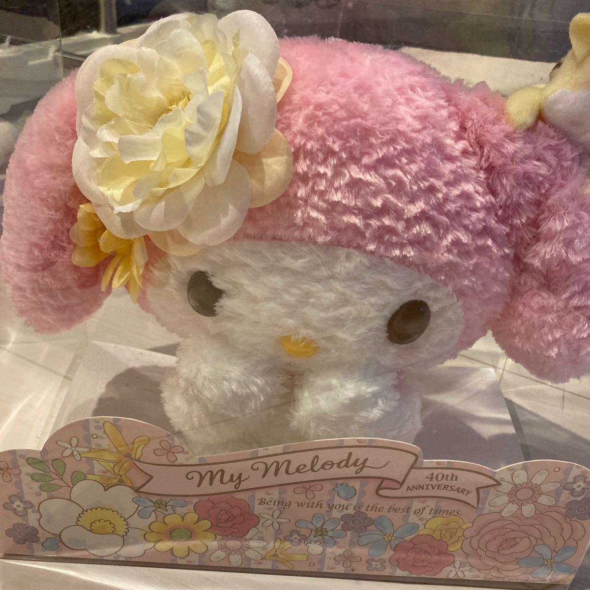 Sanrio My Melody Plush Doll 40th anniversary Last Special Japan
