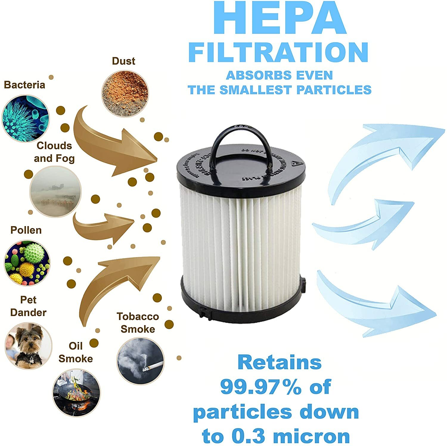 HQRP HEPA Filtro para Eureka Clean Living 3281BZ, Pet Lover Oh! Vacío 460AZ 887774053728 eBay