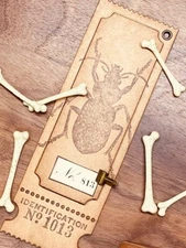 June , perforated 6" ticket stub cutting die (lot of 2)