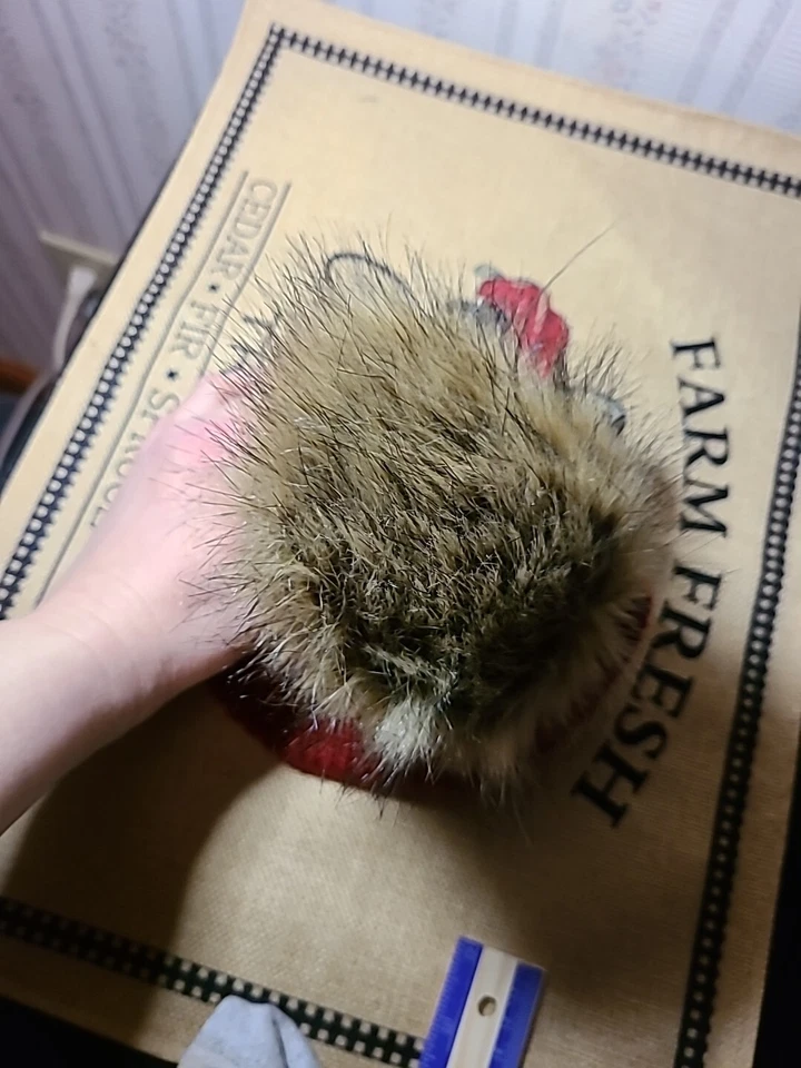 GORRA DE INVIERNO PARA NIÑOS DE 3 A 7 AÑOS IMPRESIÓN BANDERA AMERICANA piel sintética POM GORRO SOMBRERO suave Foto 3 de 4