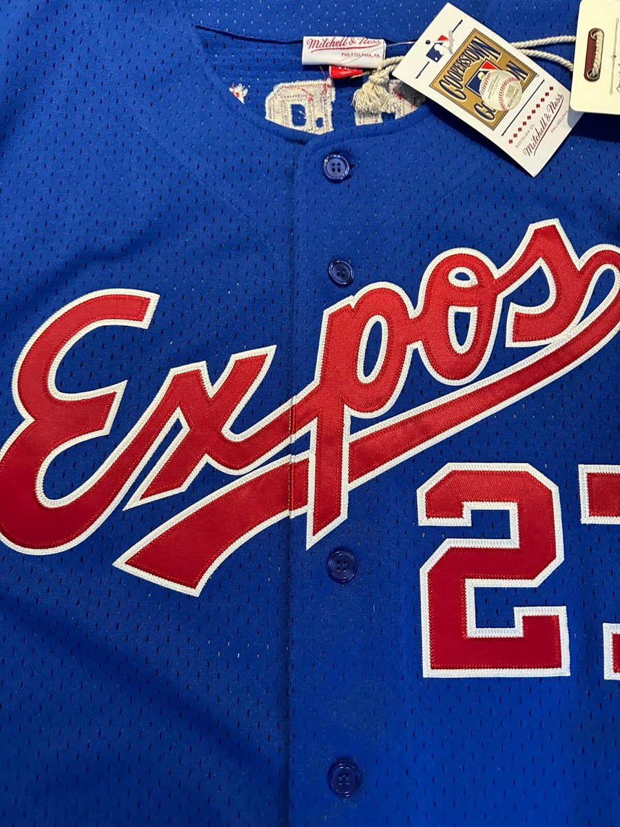 Vladimir Guerrero Montreal Expos #27 Blue Mitchell & Ness Jersey