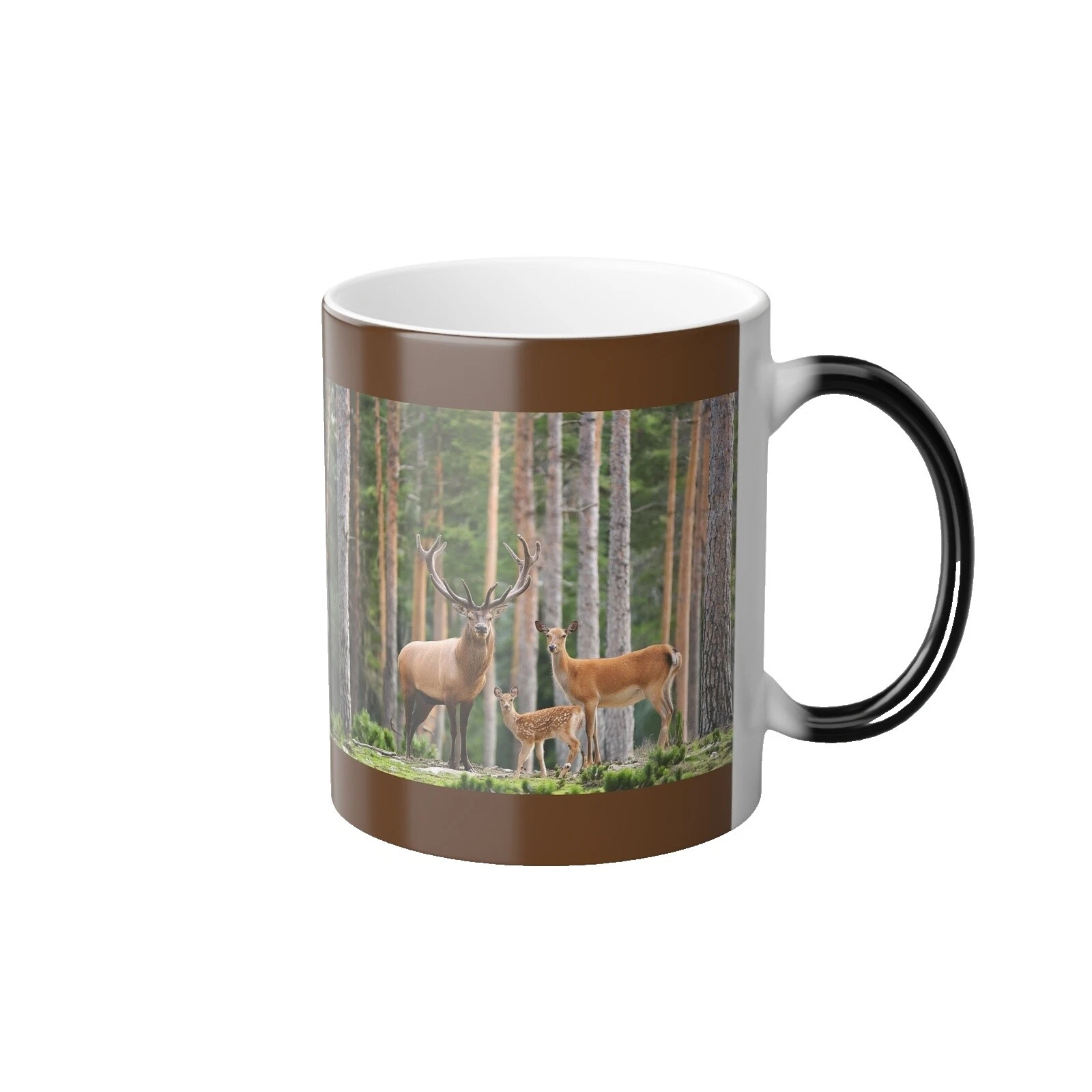 Wooden Vacuum Flasks & Mugs