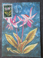 ANDORRE carte FDC 1er jour FLEURS en 1980 lot NY147