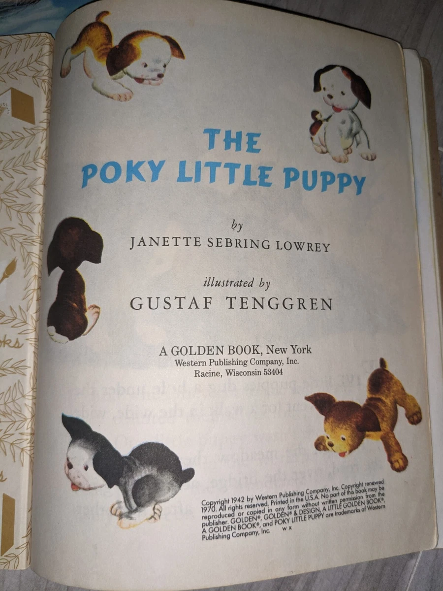 Top 11 Most Valuable Little Golden Books Worth Money