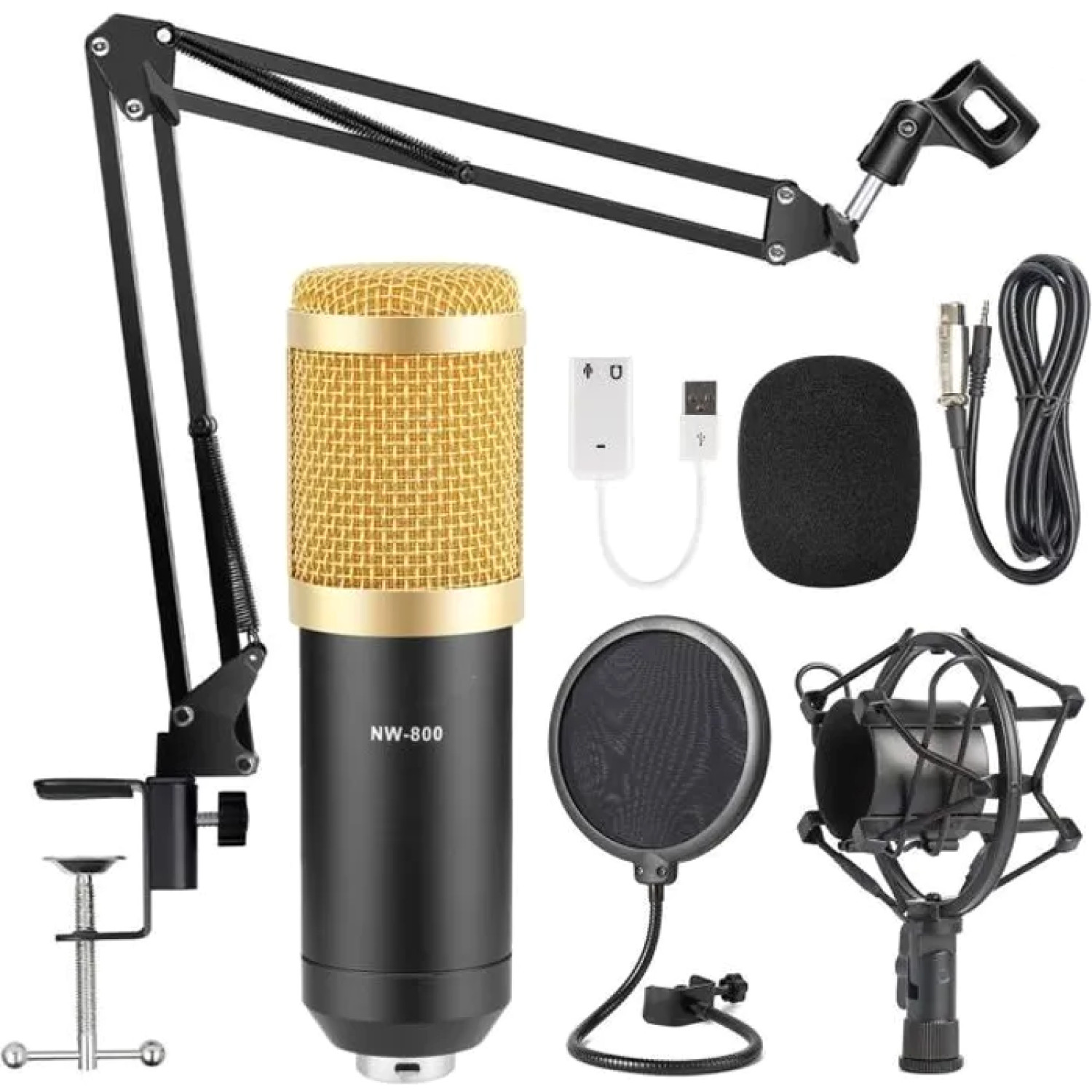ZGEER NW-800 Microphone Condensateur XLR Studio Noir pour Enregistrement Vocal