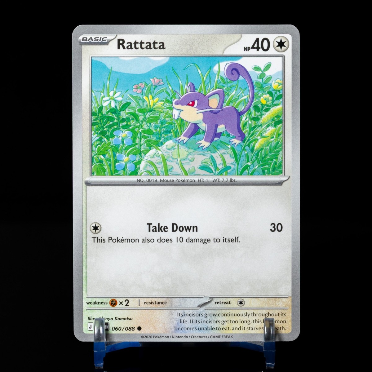 Rattata 060/088 ME03: Perfect Order Pokemon TCG NM | eBay