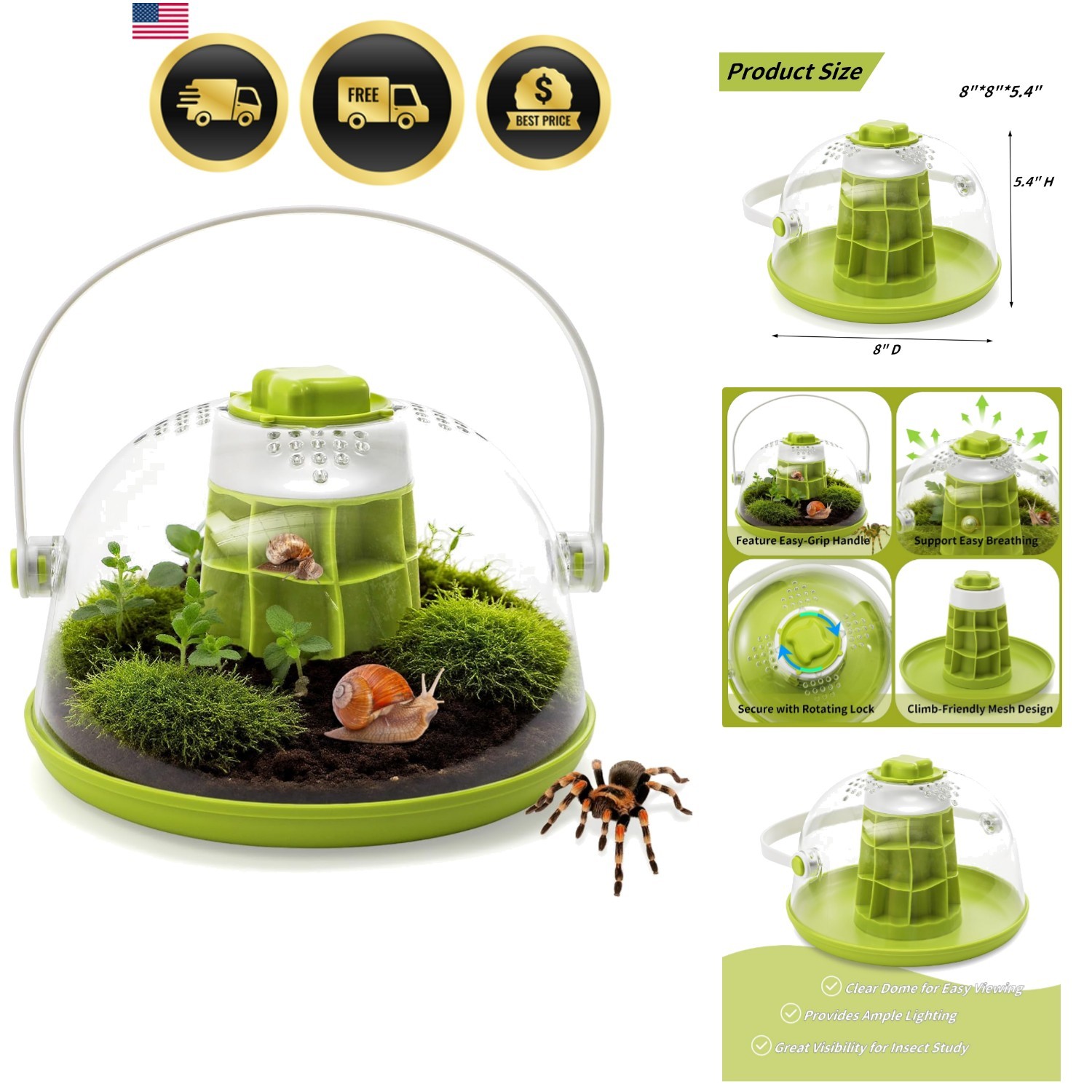 10 set Brede Toepassing Reptiel Feeder Kom Decoratieve Hars Schotel