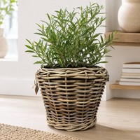 Pflanzkorb Sylter Korb Blumenkorb 37X28Cm Rattan Garten Drypot Natur ÜBertopf