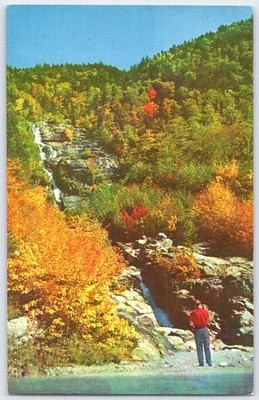 Silver Cascade Crawford Notch White Mountains NH Vintage Postcard