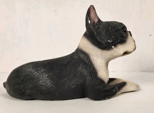 Vintage Sandicast 1985 Boston Terrier Dog 9.5" x 6" Sandra Brue Sculpt Figurine - Imagen 6 de 24