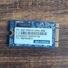 Advantech SQF-SM4V2-256G-SBE 256GB mSATA Internal SSD E Key/B & M Key
