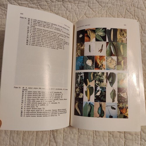 Rare 1986 Taxonomy of Asterocampa the Hackberry Butterly Ecology Entomology - 第 11/24 張圖片