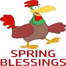 30 Custom Spring Blessings Funny Chicken Personalized Address Labels
