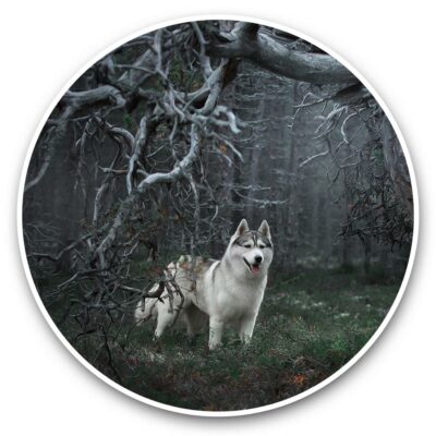 2 x Vinyl Aufkleber 15 cm - Zauberwald Siberian Husky Hund #44962