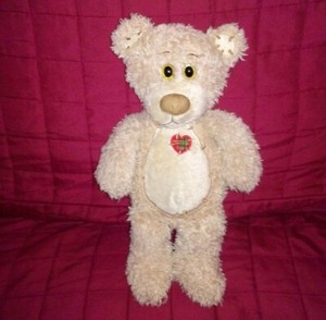 first and main tender teddy