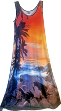 DG2 Diane Gilman Tropical Ocean Scene Maxi Dress Sz S Beach Pool Wear Very Long