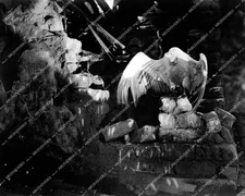 crp-52113 1921 a parrot in a bombed out house silent film The Fire Cat crp-52113