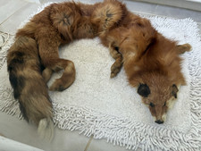 Fox Whole Hide Hair-On Natural Fur Pelt Red Brown White Black