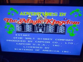 Disney's Adventures in the Magic Kingdom Nintendo NES Game Cartridge Mickey
