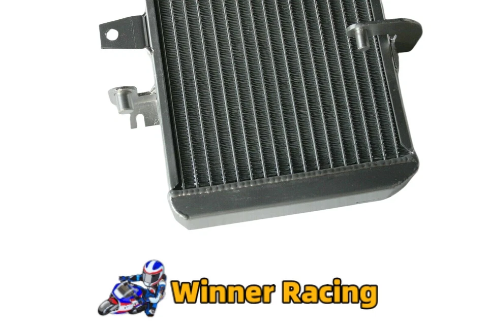 Radiador apto para BMW F650GS F700GS F800 R ST F800GT 04-18 17117678284 17118530393 Foto 3 de 4