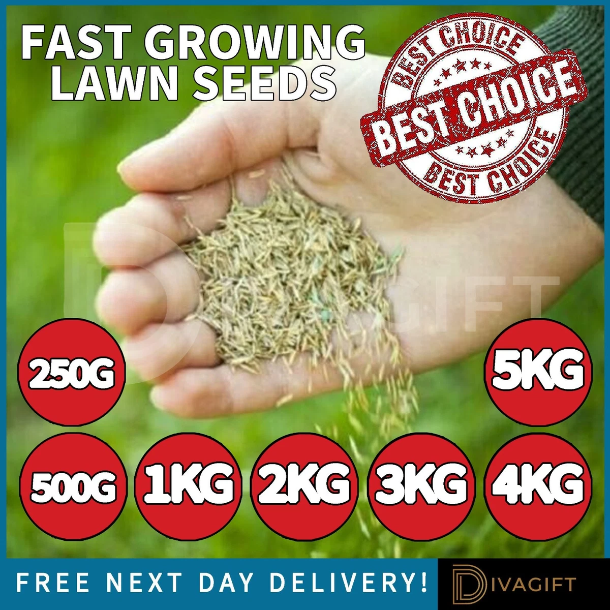 Grass seed for sale deals