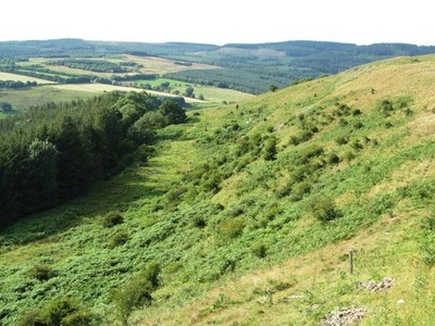 Foto A3 Hambleton Hills Nacktkante Boltby Der Steilhang über dem Baum c2015