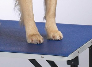 paw mat for grooming table