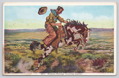 Postcard Broncho Busting Touching Leather Cowboy Vtg (231)