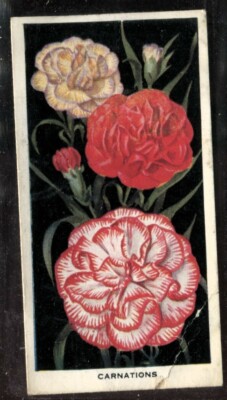 Tabakkarte, Carreras, BLUMEN, 1936, Nelke, #1