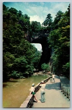 Vintage Natural Bridge Virginia Scenic Postcard Tichnor Bros Lusterchrome