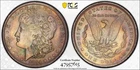 1884-O Morgan Silver Dollar PCGS MS62 - Tidy House Morgan - W/ Cardboard Flip