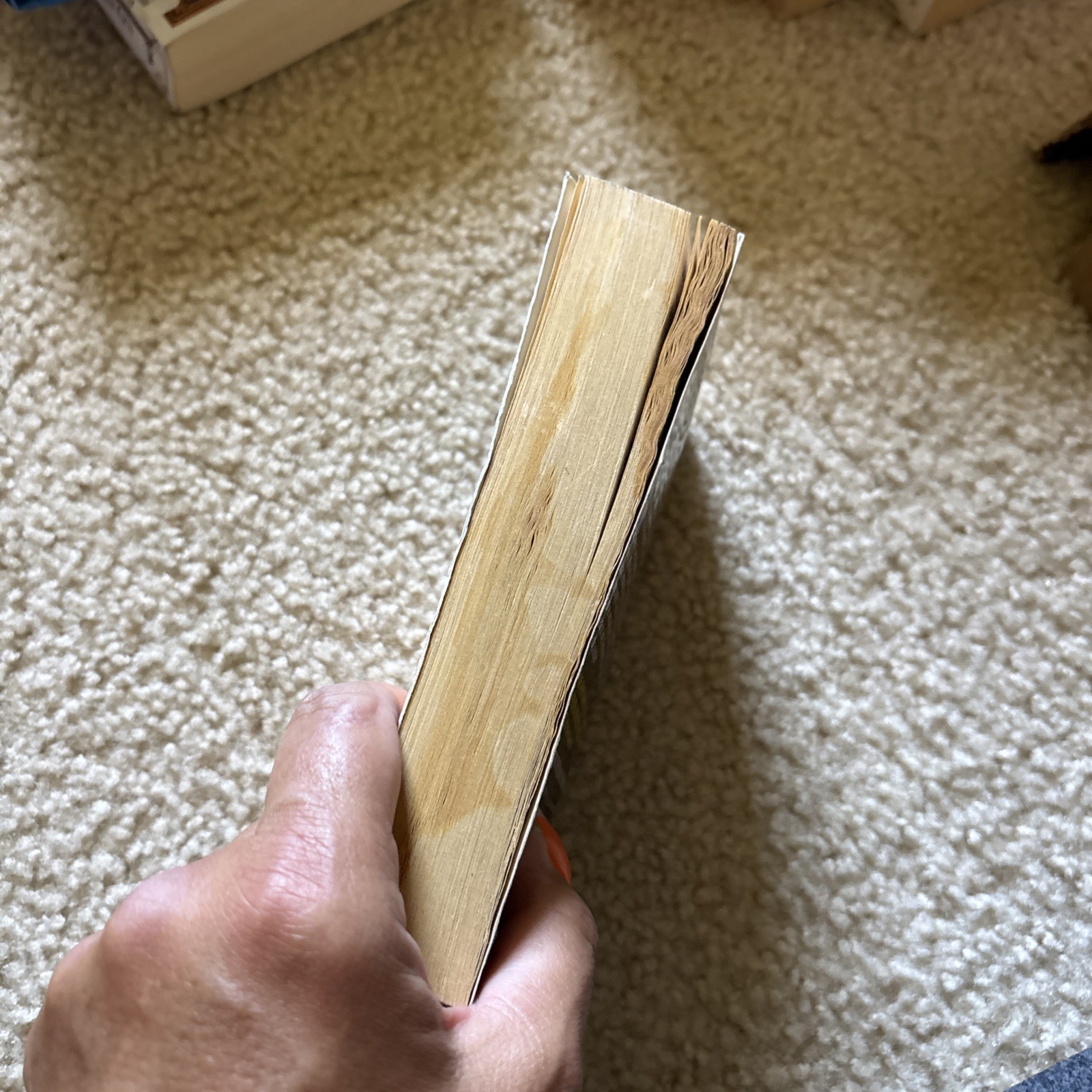 Picture 5 of 5