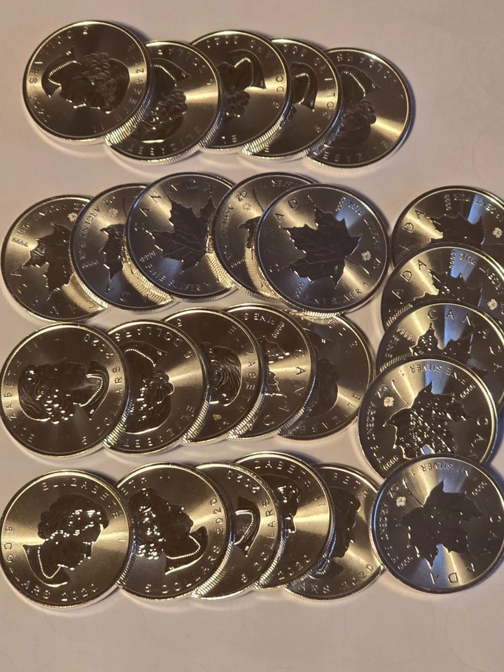 25x 1 Oz Silber 999 Maple Leaf 2020 25 Unzen Silber in Tube - Bild 4 von 4