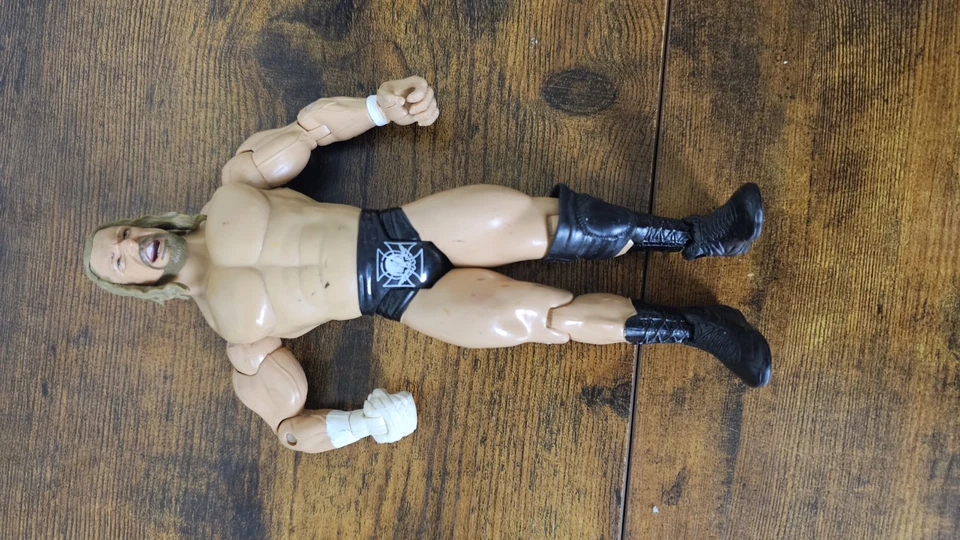 WWE WWF Wrestling Action Figure Lot Jakks Undertaker Hardy Triple H Roman Reigns — 第 2/4 张图片
